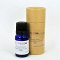 Fennel Sweet 茴香 10ml