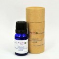 Cardamom 白荳蔻 10ml