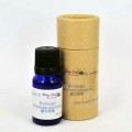 Pine 松樹 10ml